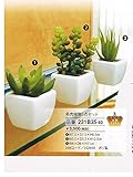 【造花】人工観葉植物　多肉植物3点セット　光触媒加工