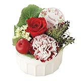 ギフトに最適 永遠の花 プリザーブドフラワー ケース入り  東京堂プリスフレ AG008629 AG8629