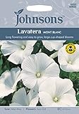 【輸入種子】 Johnsons Seeds Lavatera Mont Blanc ラヴァテラ・モンブラン ジョンソンズシード