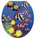 Coral Reef Toilet Tattoo size Round [並行輸入品]