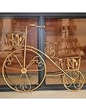フラワースタンド アイビー スタンド ラック ワイド花支架花园机架 フラワーラック レトロ鉄の自転車の形の装飾フラワーラックフラワーバスケット壁掛けバルコニー多層フラワーラック (色 : C)