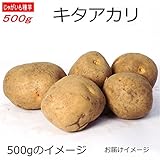 じゃがいも 種芋 キタアカリ 500g ジャガイモ