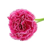 3つの手作りカーネーションのシミュレーション花のセット人工花、紫赤