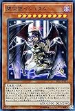 遊戯王/堕天使イシュタム（スーパーレア）/レアリティ・コレクション－20th ANNIVERSARY EDITION－ RC02-JP019