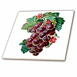 3dRose ct_38427_2 Bunch of Grapes-Ceramic Tile, 6-Inch [並行輸入品]