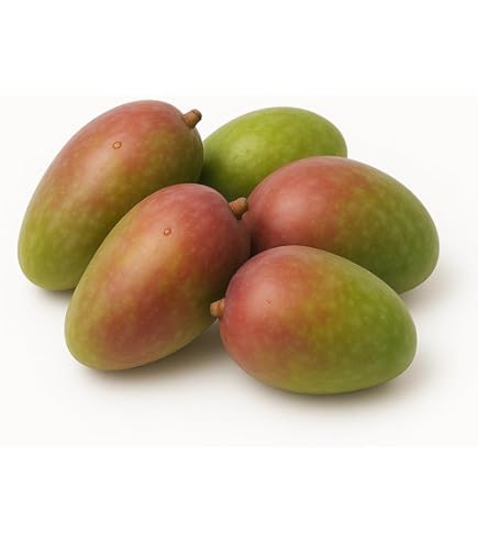 ベトナム産ヒカマ・Củ đậu - 約25kg Amazon.co.jp: MDSTORE ベトナム産ヒカマ・Vietnam Fresh Jikama・Cu