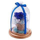 クリエイティブEndless Preserved Rosesフラワーinガラスシールドロマンチックギフトバレンタインデーの誕生日 ベージュ