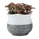 T4U 9CM 陶器ミ二植木鉢 韓国風の雪花シリーズNO.2 多肉植物 サボテン鉢 フラワーポット プランター容器