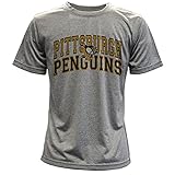 Pittsburgh PenguinsパフォーマンスアーチYouth Tee グレイ