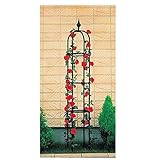 第一ビニール オベリスク 40cm×220cm