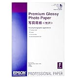 エプソン EPSON 写真用紙[光沢] (A2/25枚) KA225PSK