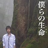 �l��̐���