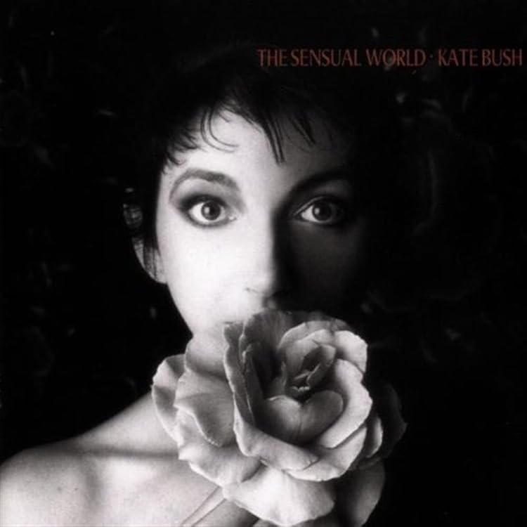 Kate Bush Remastered Part1 ケイト・ブッシュ Remastered Part 1 (7CD BOX) : Kate Bush | HMV&BOOKS online