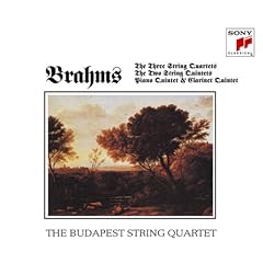 �u�_�y�X�g���y�l�d�t�c�ɂ��u���[���X�̎����y�ȏW�l���g�̏��i�ʐ^