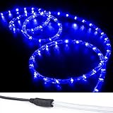 WYZworksブルーpre-assembled LEDロープライト – 2ワイヤクリスマスHoliday Decorationインドア/アウトドア照明| UL & CSA認定 150 ft AM-L