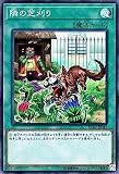 隣の芝刈り スーパーレア 遊戯王 レアリティコレクション 20th rc02-jp041