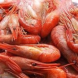 北海シマエビ約500g×１パック