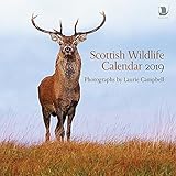 Scottish Wildlife Calendar 2019 (Calendars)