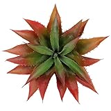 Luyue かわいい まあるい シミュレーションの多肉植物 人工観賞用植物 インテリア グリーン 植物