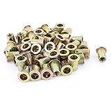 uxcell 亜鉛メッキ　炭素鋼　リベットナット　ナットリベッター　ナット挿入　 M6x15　50個入