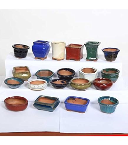 新品 伝市鉢 DENICHI-POT 3.5号 pot 鉢 ポット 鶴仙園 SRL BOTANIZE