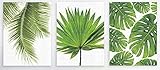 CHEZMAX壁アートオイルホームインテリアグリーントロピカル植物の画像キャンバスプリント絵画アートワーク without frame 19.7" X 23.6"