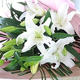 花 誕生日 百合 大輪系 白ユリの花束 お花の数 80輪以上 バレンタインデー 卒業祝い 入学祝い  エーデルワイス 花工房