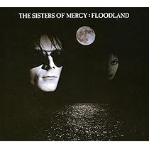 Amazon.co.jp: Floodland (Dig): ミュージック