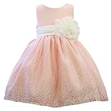 子供ドレス 017902 ベビー 女の子　ワンピース[リトルプリンセス] Little Princess ブラッシュピンク 90cm