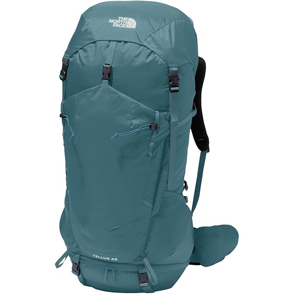 Amazon.co.jp: ザ・ノース・フェイス(THE NORTH FACE) テルス