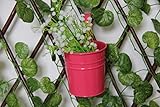 Noloo フラワーポット フックバケツ 植木鉢 園芸 壁掛けプランター 装飾 リムーバブル 飾り 鉄製 多肉植物10セット 10色