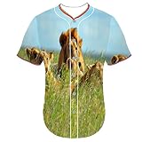 メンズ円弧下部Baseball Jersey feusenジャージライオンmquh 3dプリンタカスタマイズされたボタンフロントシャツ3d印刷Tシャツの女性