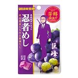 味覚糖 忍者めし 巨峰　 20ｇ　20袋 （10×2）
