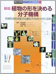 植物の形を決める分子機構 形態形成を支配する遺伝子のはたらきに迫る 植物細胞工学シリーズ 信 松岡 清孝 岡田 泰則 町田 本 通販 Amazon