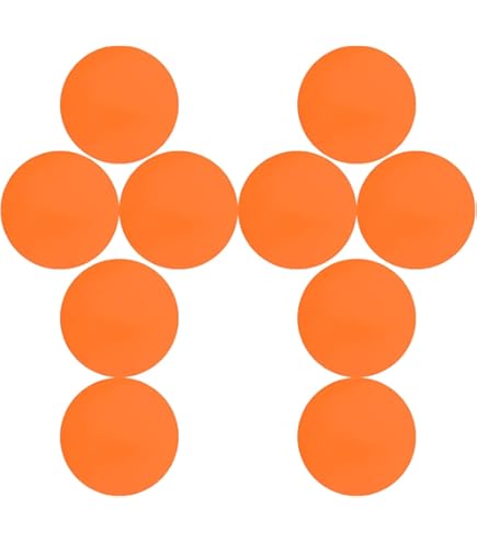 Amazon | LPL フィルター デーフィルター(VL-1300用) L2371-2A