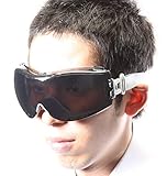 RADIANS ゴーグル スモーク・アンチフォグ EA800EA-25