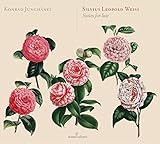 Suites for Lute