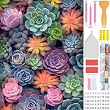 Amyaker ダイヤモンドアート キット 四角いビーズ 全面 ダイアモンドビーズ絵画キット 日本語キャンバス DIY 手作り絵画 手芸キット モザイクアート 5D モザイクアート ダイヤモンド塗装 全面貼り付けタイプ 30x40cm 多肉