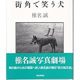 街角で笑う犬