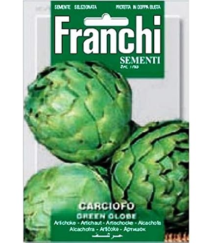 新鮮アーティチョーク 10kg 59fa7b69fe59ad1c19b090741848b3