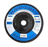イチグチ テクノディスク・コニカルタイプ(円錐形状テクノディスク) A 180×22.2 80 CON18022-A-80-J1