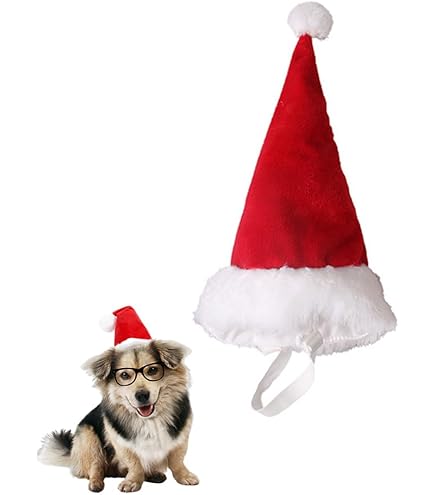 Amazon | ペット クリスマス サンタ帽子 カーフ 2点セット 猫犬用