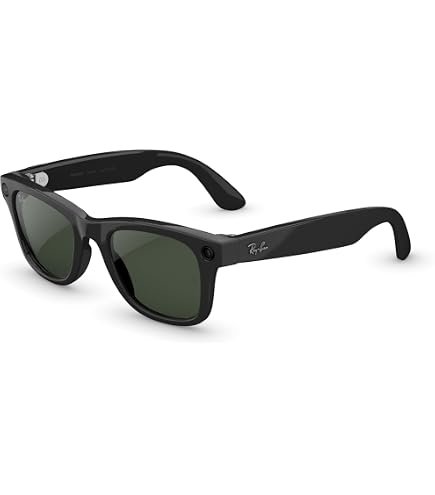 Ray-Ban Meta Wayfarer マットブラック L
