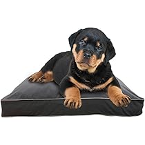 Amazon | Doggybo Mini ドギボー ミニ ダークグレー