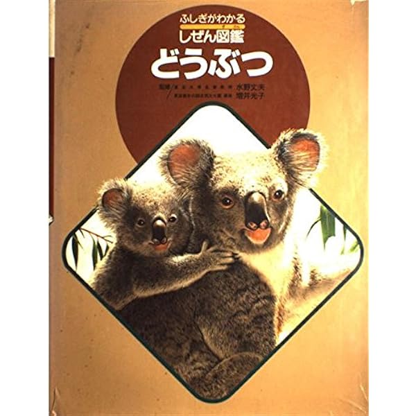 みずのいきもの (ふしぎがわかるしぜん図鑑) |本 | 通販 | Amazon
