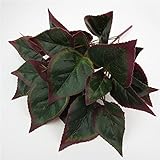 Auntwhale 人工植物ブーケパームツリーブッシュ生き生き植物木の飾り装飾テーブルオフィスデスクキッチンレストランホームインテリア屋内ランドスケープ