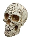 Atlantic CollectiblesボーンクリームケルトノットライオンTribal Tattoo Coat of Arms Skull Money Bank置物