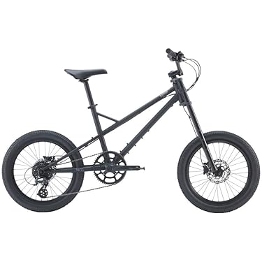 Amazon.co.jp 最新リリース: 小径車(ミニベロ) の新着ランキングです。