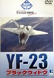 YF-23 �u���b�N�E�B�h�E