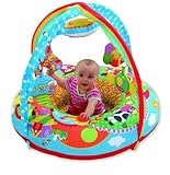 Galt Toys Playnest and Gym (Farm)